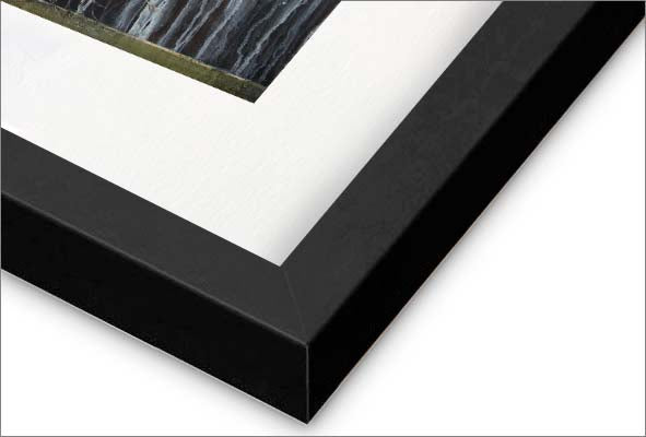 Uprooted, Yet Rooted