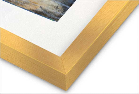 Beauty in the Stillness