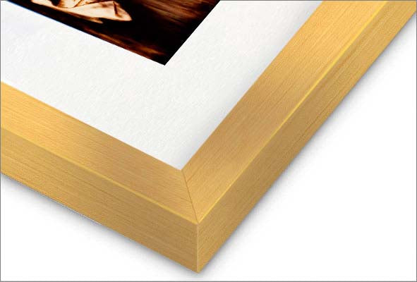 Seeking the Fire Within