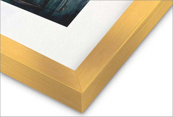 The Uncaged Red Bird