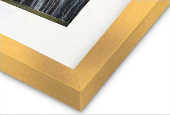 Uprooted, Yet Rooted