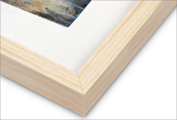 Beauty in the Stillness