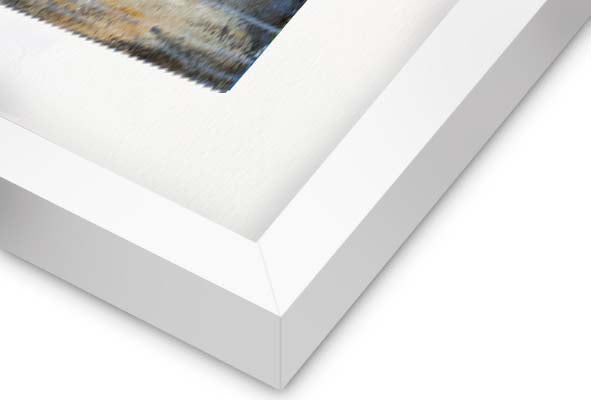 Beauty in the Stillness