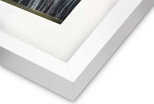 Uprooted, Yet Rooted